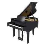 Roland GP-9M Piano Num&eacute;rique Manuel du propri&eacute;taire