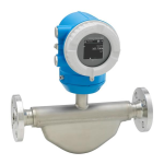 Endres+Hauser Flowmeter Proline Promass O Manuel utilisateur