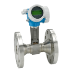 Endres+Hauser Flowmeter Proline 200 Brief Manuel utilisateur