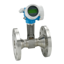 Endres+Hauser Flowmeter Proline 200 Brief Manuel utilisateur | Fixfr