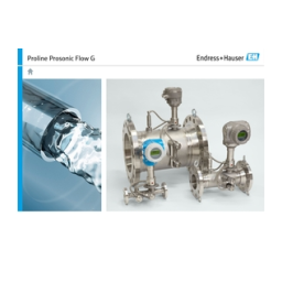 Endres+Hauser BA Proline Prosonic Flow G 300 Mode d'emploi | Fixfr