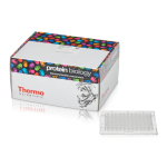 Thermo Fisher Scientific PrioCHECK CSFV Ab Plate Kit Mode d'emploi