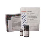 Thermo Fisher Scientific BOVIGAM TB Kit Mode d'emploi