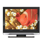 Magnavox 19MF338B Manuel utilisateur