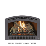 Fireplace Xtrordinair DVL EmberGlo GSR2 Insert (FPX) 2020 Manuel du propri&eacute;taire