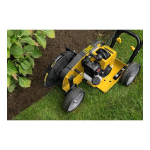 Powerplus POWXG30010 LAWN EDGER 25,4CC Manuel du propri&eacute;taire