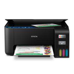 Epson 2400 Manuel utilisateur | Fixfr