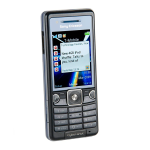 Sony Ericsson C510 Guide d'utilisation + Chat IA