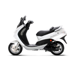 Manuel Peugeot Elystar ADV 4 Temps | AI Chat | Fixfr
