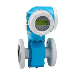 Endres+Hauser Flowmeter Proline Promag W Manuel utilisateur | Fixfr