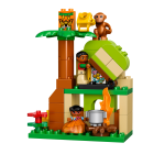 DUPLO 10804 Instructions et Questions avec l'IA