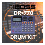 Roland DR-770 Manuel utilisateur