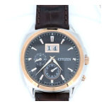 CITIZEN WATCH E31 Manuel utilisateur