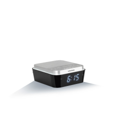 Grundig Sonoclock 920 Manuel du propriétaire | Fixfr