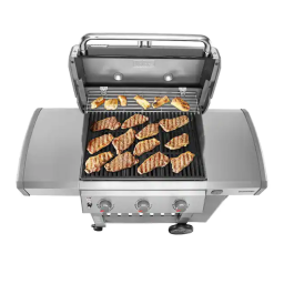 Weber Genesis 2 E310 Mode d'emploi | Fixfr