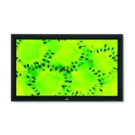 NEC PlasmaSync&reg; 60XC10 Manuel utilisateur