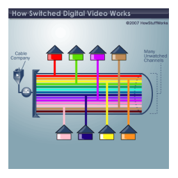 Cisco Switched Digital Video Mode d'emploi | Fixfr