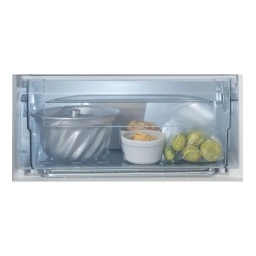 Bauknecht GSU 8F1 Freezer Manuel utilisateur | Fixfr