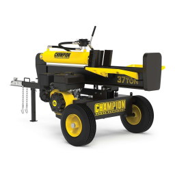 Champion Power Equipment 100250 Manuel utilisateur | Fixfr