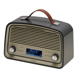 Denver DAB-38GREY DAB  & FM radio Manuel utilisateur | Fixfr