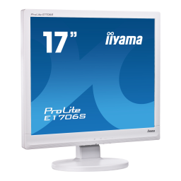 iiyama ProLite B1706S: AI Chat & Téléchargement PDF | Fixfr