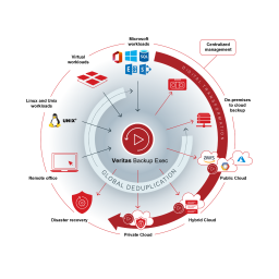 Dell Symantec Backup Exec System Recovery software Manuel utilisateur | Fixfr