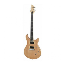 Harley Benton Electric Guitar Kit CST-24 Une information important | Fixfr