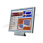 Eizo FLEXSCAN L550 Manuel utilisateur