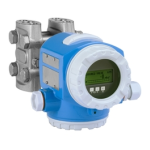 Endres+Hauser Deltabar S PROFIBUS-PA Differential Pressure Measurement Mode d'emploi