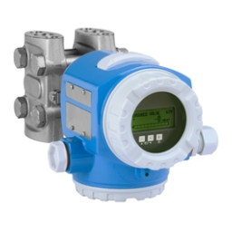 Endres+Hauser Deltabar S PROFIBUS-PA Differential Pressure Measurement Mode d'emploi | Fixfr