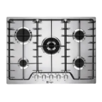 Electrolux FX075 Notice d'utilisation | AI Chat &amp; PDF