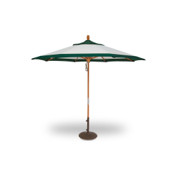 UM8091 Parasol : Chat IA & Téléchargement PDF | Fixfr