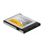 DeLOCK 54067 CFexpress memory card 512 GB Fiche technique