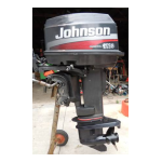 Johnson WPL 115 CHEVAUX-VAPEUR: Chat IA et PDF