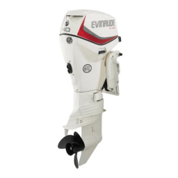 Evinrude EV 40 E-TEC Rope Start 2008 Manuel du propriétaire | Fixfr