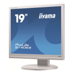 iiyama B1906S Manuel utilisateur