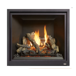 Fireplace Xtrordinair ProBuilder 42 CleanFace Deluxe Fireplace 2019 Manuel du propriétaire | Fixfr