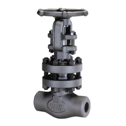Raimondi Gate Valves Bolted Bonnet IOM Manuel du propriétaire | Fixfr