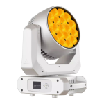 PROLIGHTS Jet Wash19 Manuel d'Utilisation | AI Chat