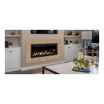 Heatilator Rave Series Gas Fireplace Installation manuel