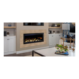 Heatilator Rave Series Gas Fireplace Installation manuel | Fixfr
