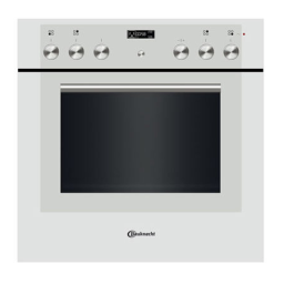 Bauknecht ELVE 8170 SW Oven Manuel utilisateur | Fixfr