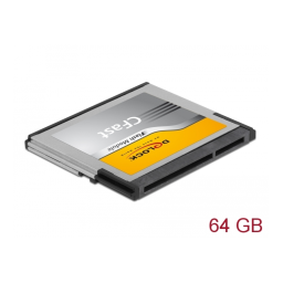 Delock 54089 Carte mémoire CFast | AI Chat & PDF | Fixfr