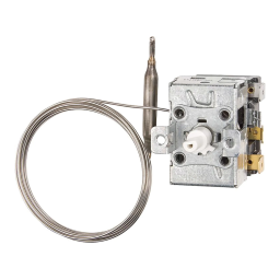 JUMO 602031 Panel-Mounted Thermostat Fiche technique | Fixfr