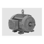 SPX Cooling Technologies Marley Electric Motor Manuel utilisateur