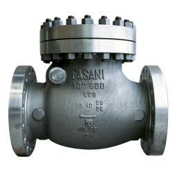 Fasani Globe Valves Bolted Bonnet IOM Manuel du propriétaire | Fixfr