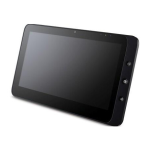 ViewSonic ViewPad 10 Manuel utilisateur