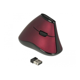 DeLOCK 12528 Ergonomic vertical optical 5-button mouse 2.4 GHz wireless Fiche technique | Fixfr
