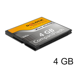 DeLOCK 54473 Compact Flash Card 4 GB Fiche technique | Fixfr