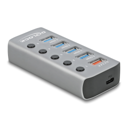 Delock 63263 Hub USB 3.2 Gen 1 | Chat IA & PDF | Fixfr